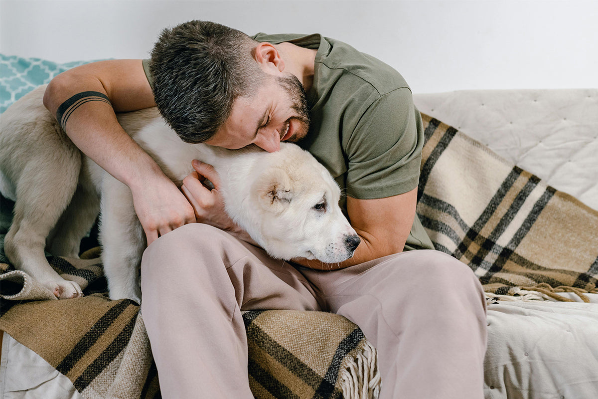 12 Unique Pet Loss Gifts