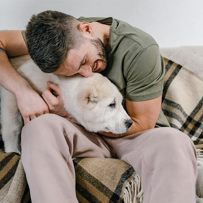 12 Unique Pet Loss Gifts