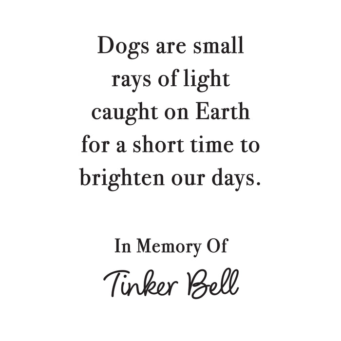 Personalized "Dogs Are Rays of Light" Dog Memorial Lantern
