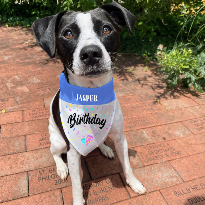 Personalized Dog's Birthday Bandana