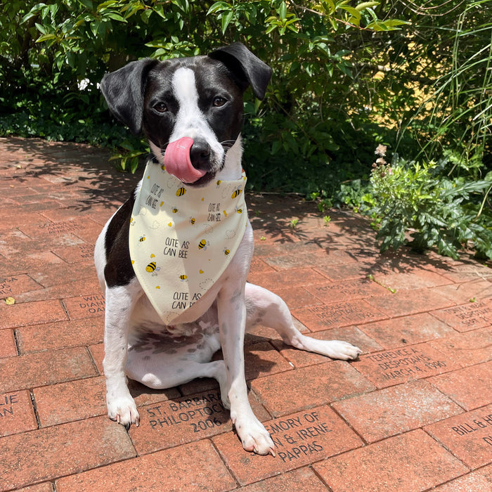 Personalized "Cute As Can Bee" Dog Bandana