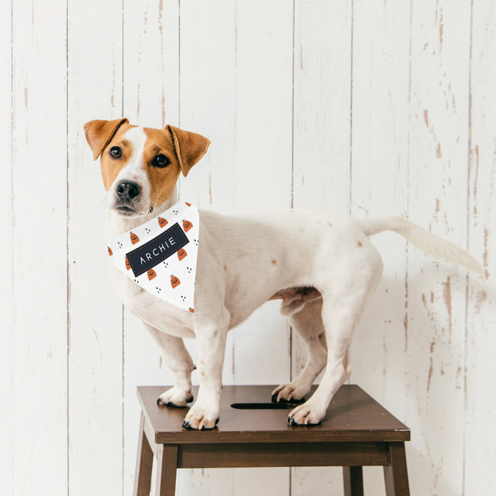 Personalized Jack-O-Lantern Halloween Dog Bandana