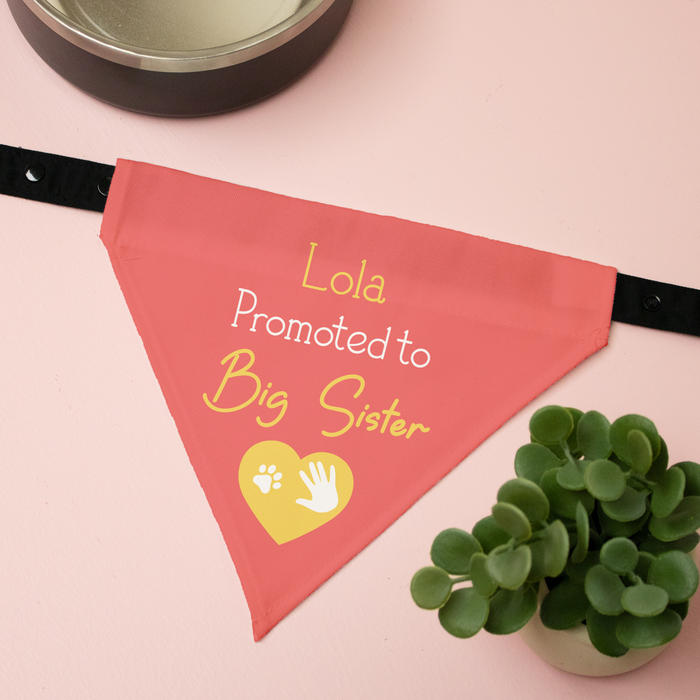 Personalized Promoted to Big Sibling Dog Bandana