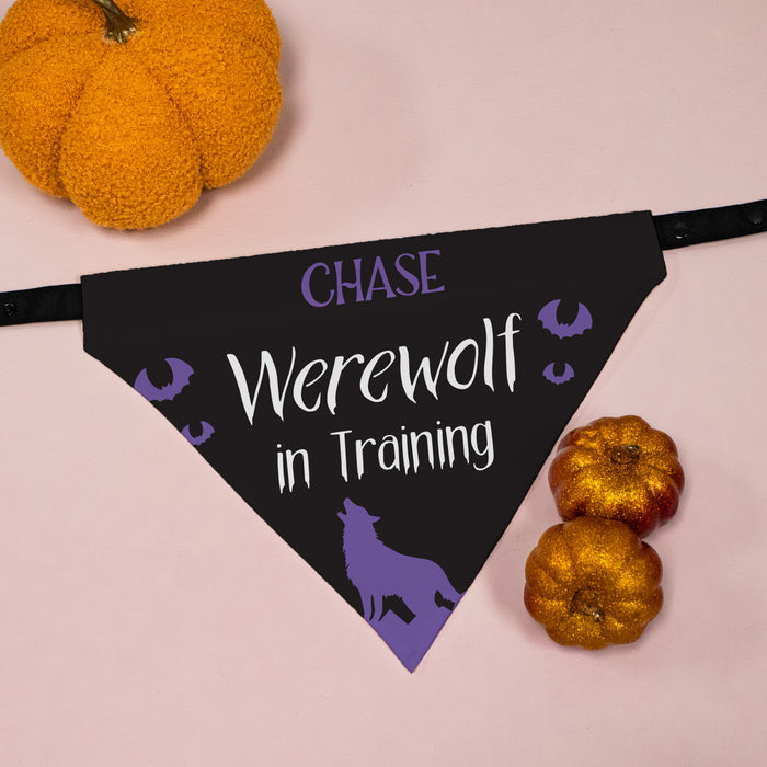 Personalized "Werewolf in Training" Halloween Dog Bandana