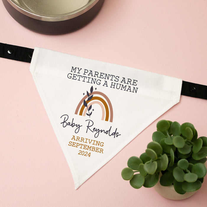 Baby announcement dog bandana with text and rainbow design on a pink background with a plant.