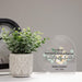 Potted plant next to a personalized glass plaque in memory of loved one with text and a name on a neutral background