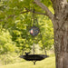 Bird bath hanging from a tree branch with a blurred tree line background