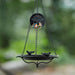 Decorative bird feeder with chain and birds on a blurred green background