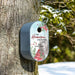 A personalized birdhouse mounted on a tree trunk in a snowy outdoor setting. The birdhouse has a blue side and a front panel featuring a printed design with a red cardinal, red berries, pine branches, and the text 'LET Heaven AND NATURE SING THE JENKINS FAMILY'.