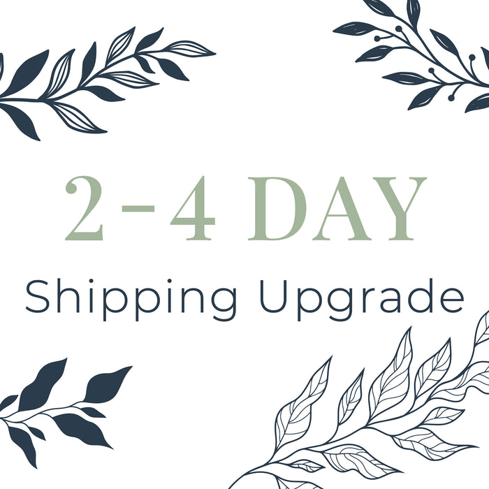 Text '2-4 Day Shipping Upgrade' with decorative leaf elements on a white background