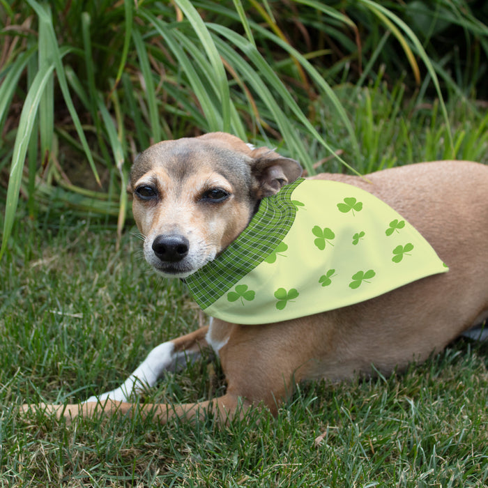 Personalized "Pet Me, I'm Irish" Dog Bandana