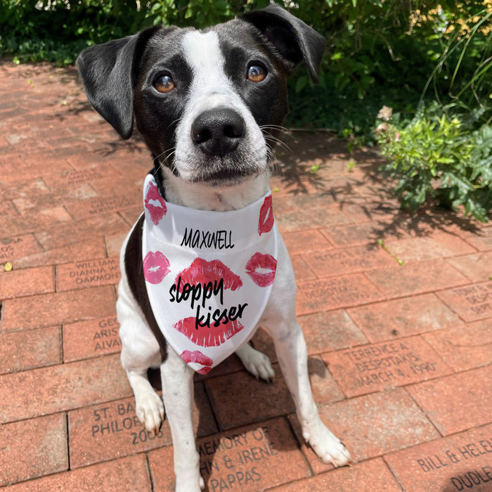 Personalized Valentine's Sloppy Kisser Dog Bandana