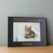 the best angels have wings and whiskers cat memorial picture frame