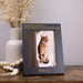 the best angels have wings and whiskers cat loss gift frame